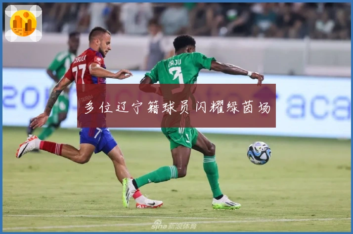 多位辽宁籍球员闪耀绿茵场